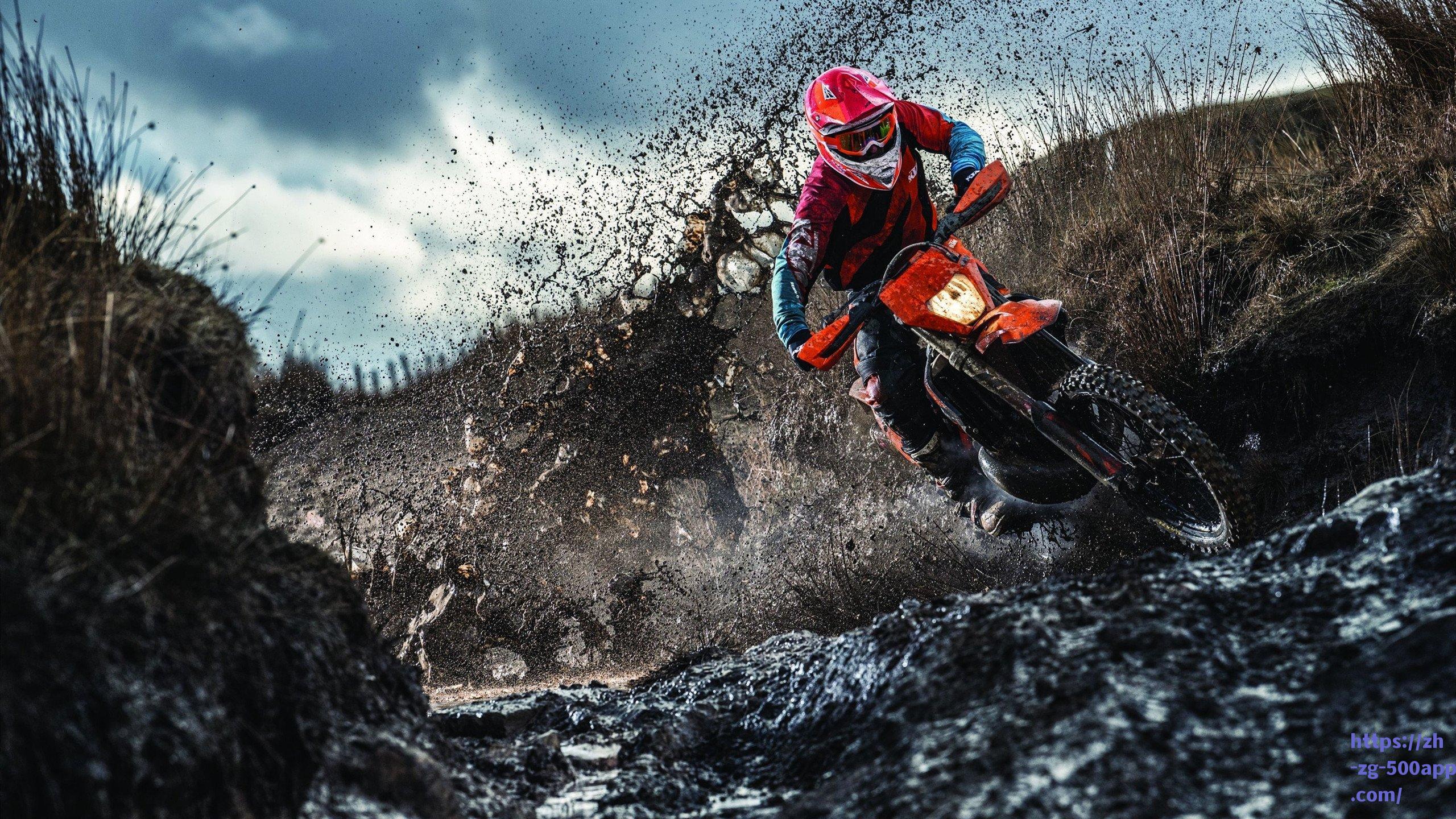 金州勇士领跑BPI新赛季预测 湖人晋级季后赛概率高达88%